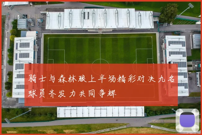 骑士与森林狼上半场精彩对决九名球员齐发力共同争辉