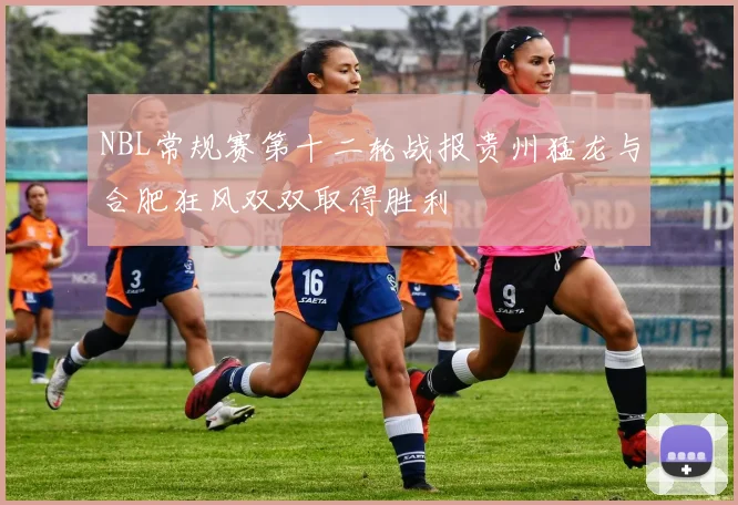 NBL常规赛第十二轮战报贵州猛龙与合肥狂风双双取得胜利
