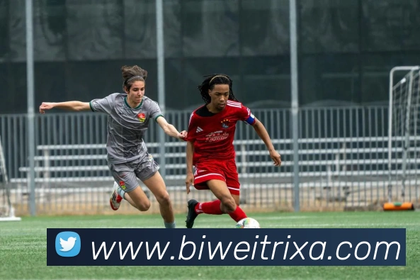 必威体育平台生态图